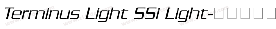 Terminus Light SSi Light字体转换